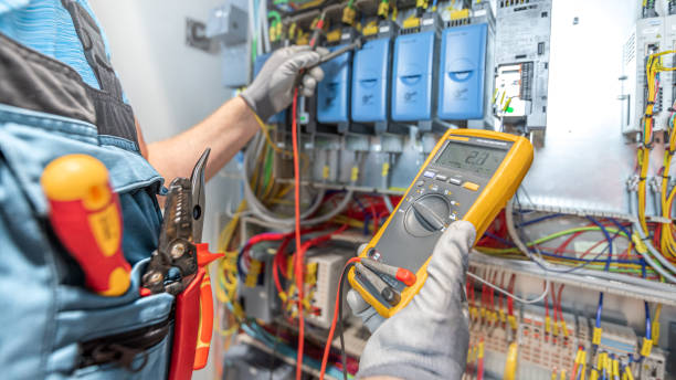 Best Electric Panel Repair  in Mullica Hill, NJ